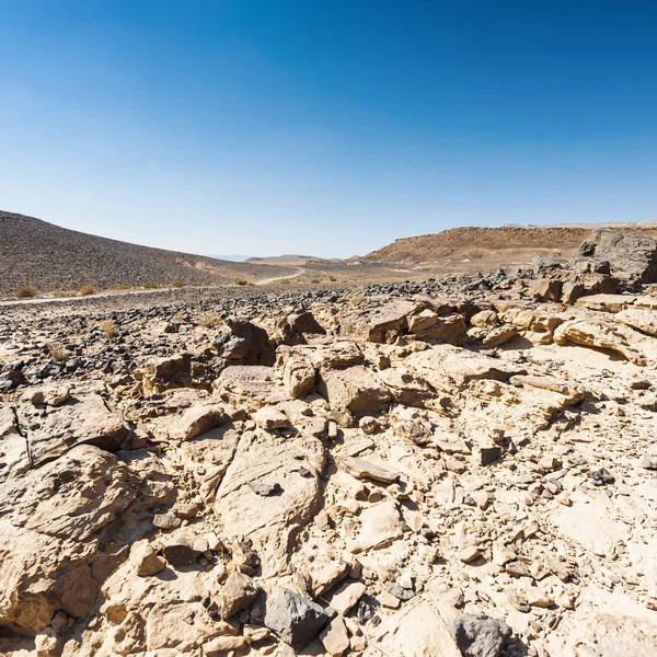 Padrões caprichosos do deserto — Fotografia de Stock