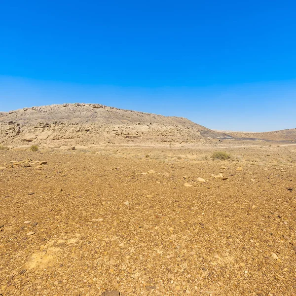 Patrones caprichosos del desierto — Foto de Stock