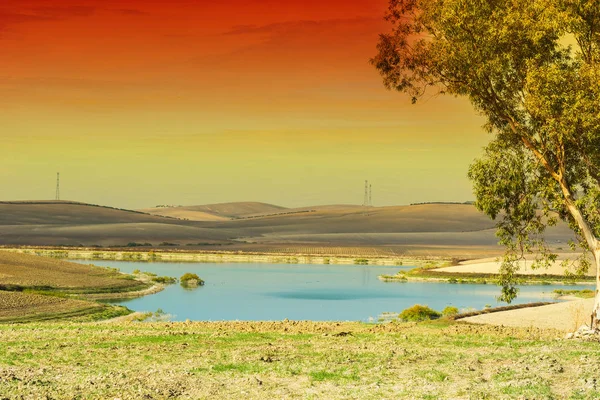 Irrigation pond in magical light — Stock Photo, Image