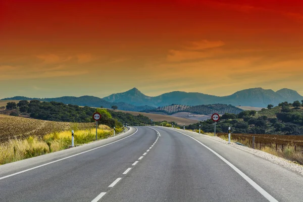 Mysterious Spanish road — Stock Photo, Image