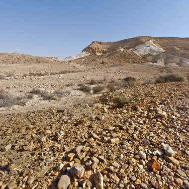 İsrail 'de Negev Çölü