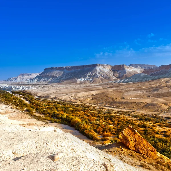 Negev Desert Israelissa — kuvapankkivalokuva