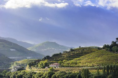 Douro Nehri bölgesinde seyahat et