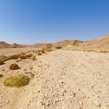Melankoli ve boşluk of the desert filmindeki İsrail.