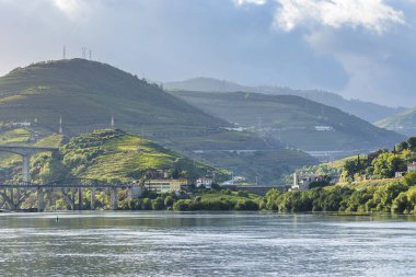 Douro Nehri bölgesinde seyahat et
