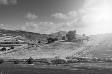 Hasat sonra buğday alanları.