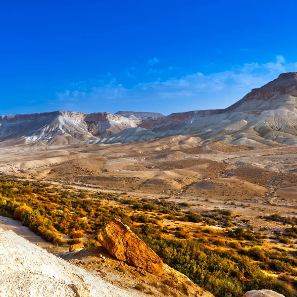 İsrail 'de Negev Çölü — Stok fotoğraf