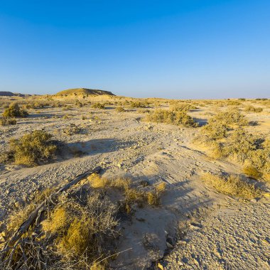 İsrail 'de sonsuzluğu terk et