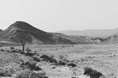 Siyah beyaz Taş Çölü