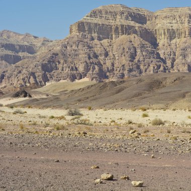 Ortadoğu'nun sonsuz fantezi.