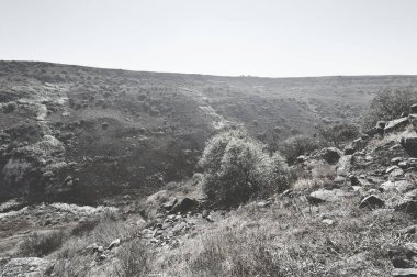 Doğa rezervi Golan Tepeleri 'nde bulunmaktadır.