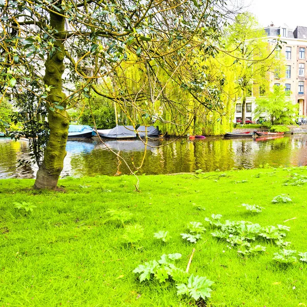 Αστική σκηνή στο Άμστερνταμ — Φωτογραφία Αρχείου