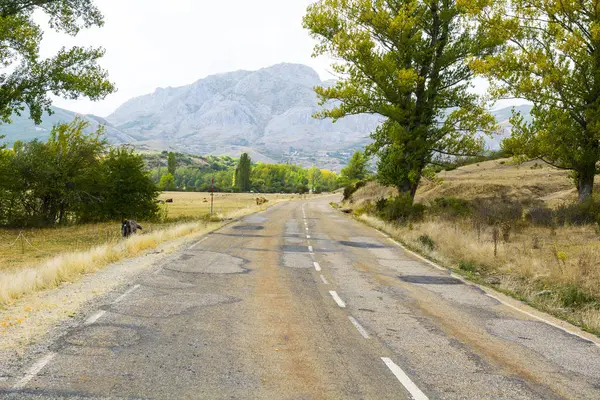 Asphalt road in Spain — Stock Photo, Image