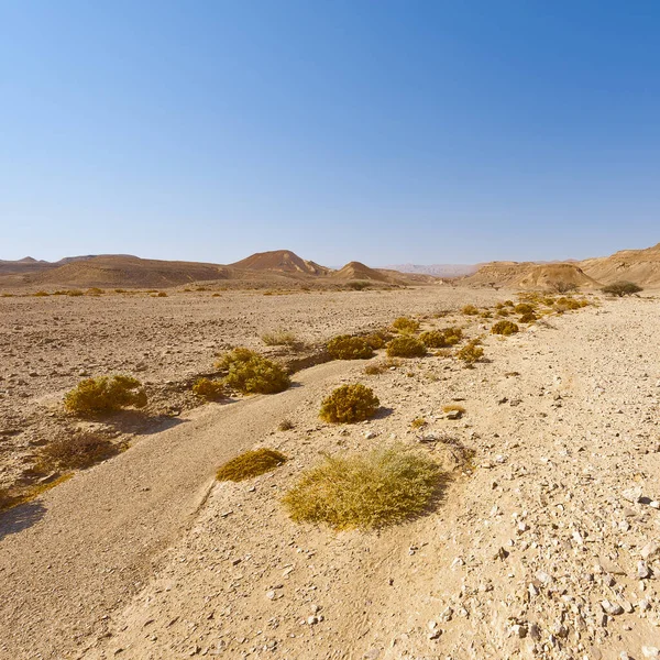 Melankólia és az üresség, a sivatag, Izrael. — Stock Fotó