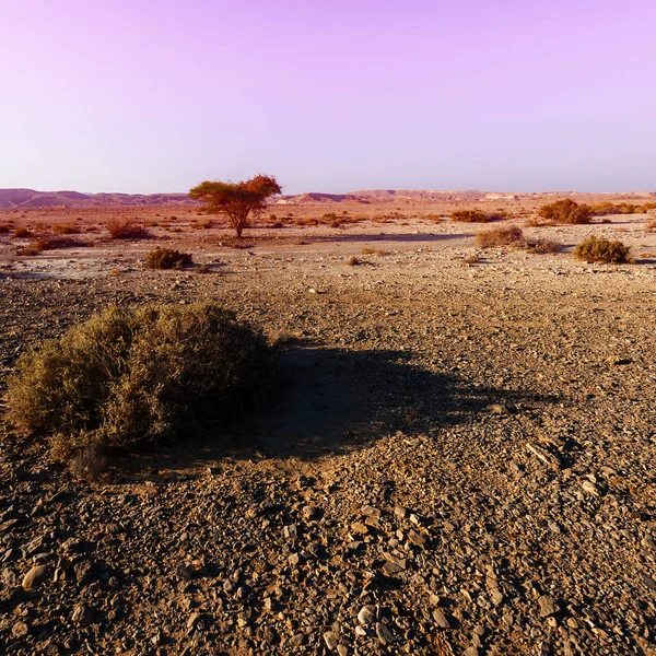 Fantástico nascer do sol no deserto . — Fotografia de Stock