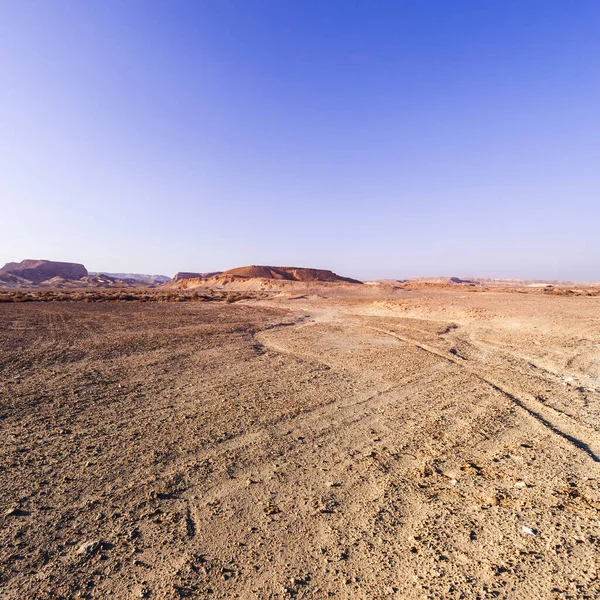 Patrones caprichosos del desierto —  Fotos de Stock