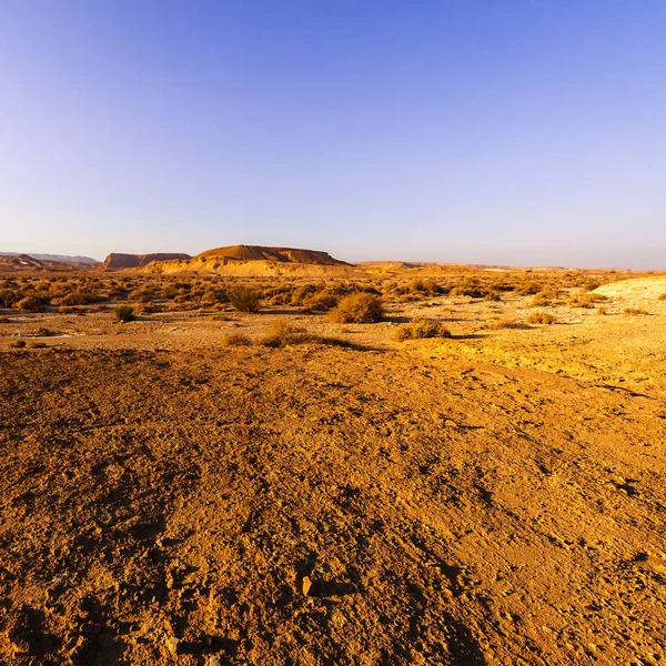 Komiczne wzory pustyni — Zdjęcie stockowe