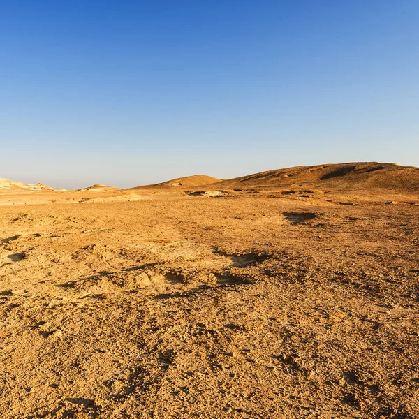砂漠の神秘的なパターン — ストック写真