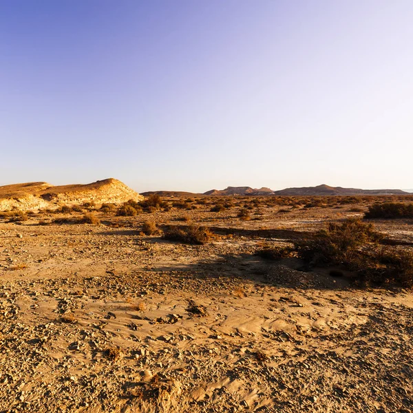 Ιδιότροπα μοτίβα της ερήμου — Φωτογραφία Αρχείου