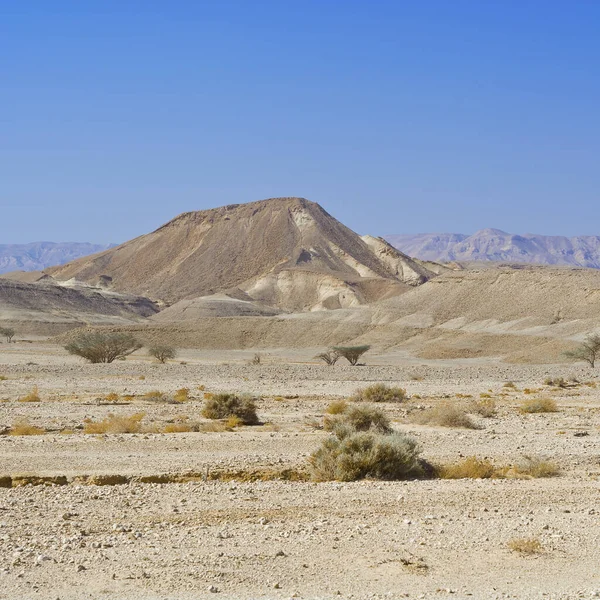 Eenzaamheid en leegte van de woestijn — Stockfoto