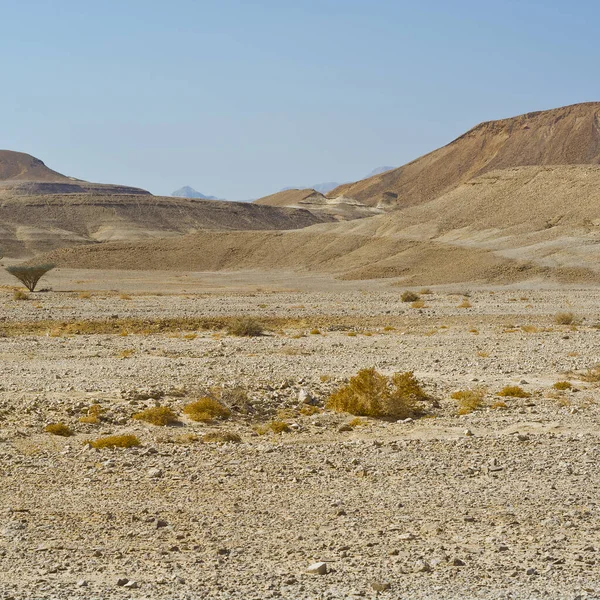 Eenzaamheid en leegte van de woestijn — Stockfoto