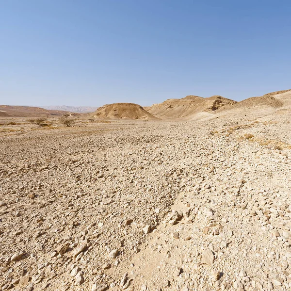 Melancholie a prázdnotě pouště v Izraeli. — Stock fotografie
