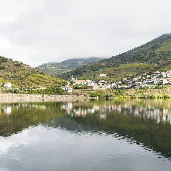 Blick auf die portugiesische Natur — Stockfoto