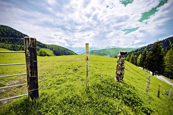 Fenced pasture in Austria — 图库照片