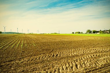 Avusturya 'da sürülmüş tarlalar