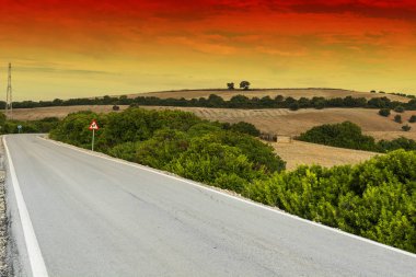 Gizemli İspanyol yol