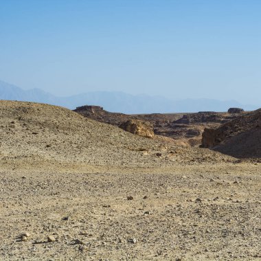 Çölün Tuhaf Örnekleri
