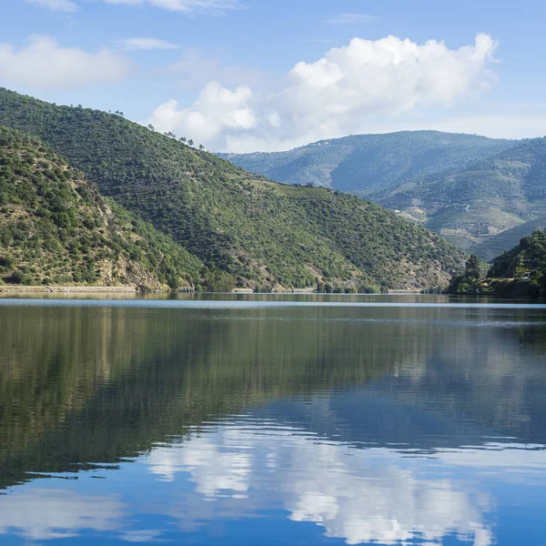 Standpunt van de Portugese natuur — Stockfoto