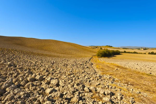 Plowed land in Italy — Stock Photo, Image