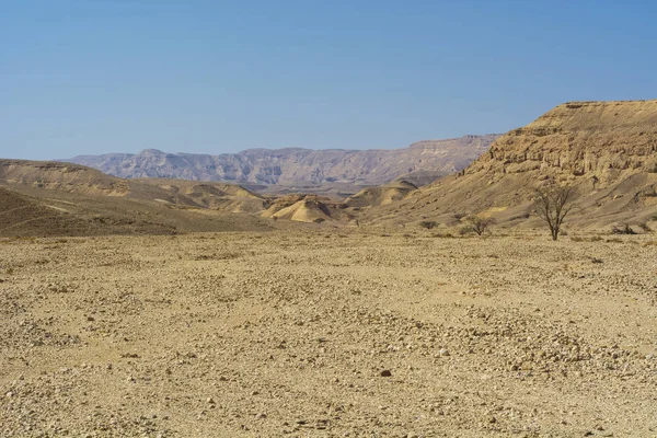 砂漠の石 — ストック写真