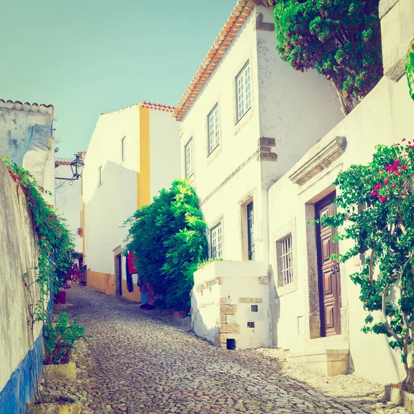 Orta Çağ Portekiz Obidos Şehrinde Dar Sokak Instagram Efekti — Stok fotoğraf