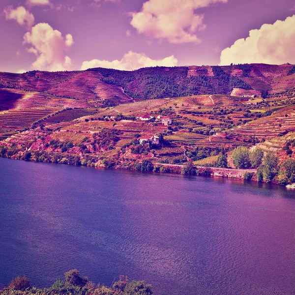 Vineyards Valley River Douro Sunset Instagram Effect — Stock Photo, Image