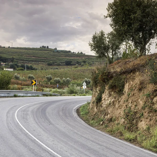 Bochtige Asfaltweg Tussen Wijngaarden Van Douro Portugal Wijnbouw Portugese Dorpen — Stockfoto