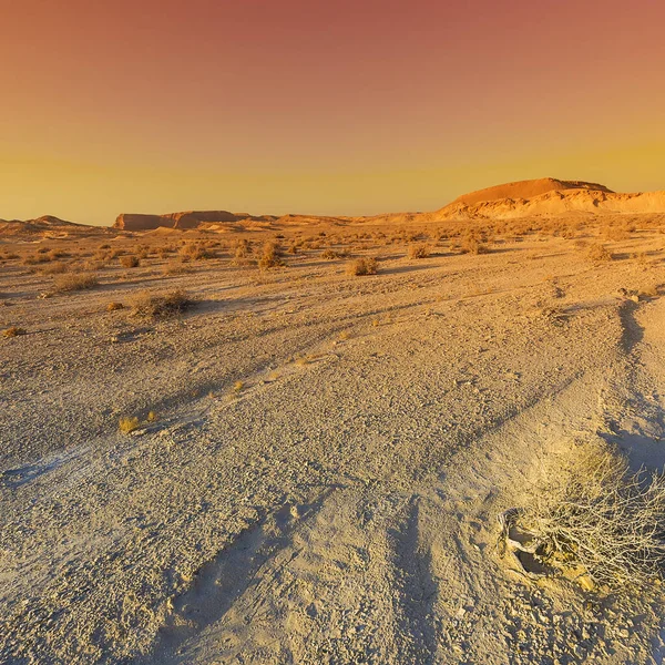 Красочные Скалистые Холмы Пустыни Негев Израиле Захватывающий Дух Пейзаж Природа — стоковое фото