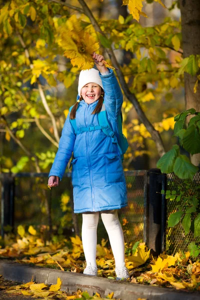 Meisje houden esdoorn bladeren — Stockfoto