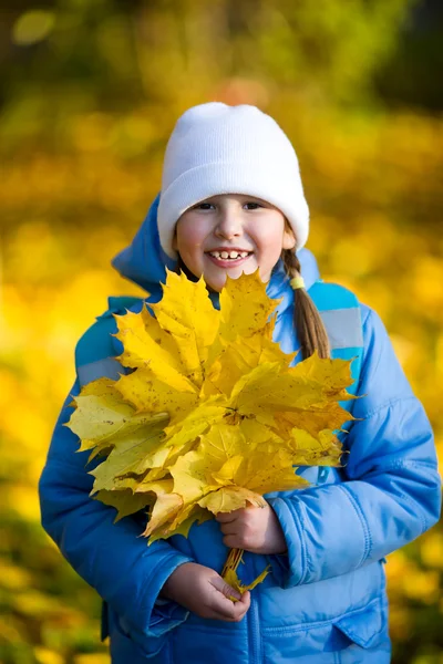Girl holding maple leaves — Stock Photo, Image