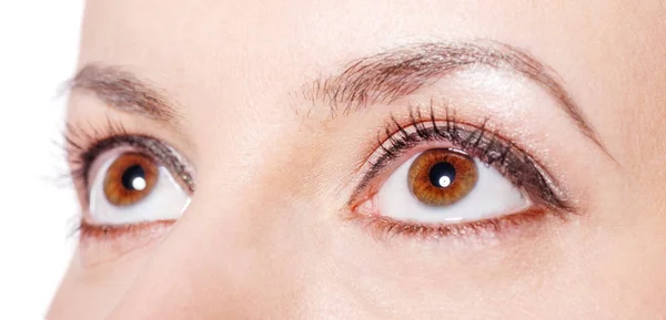 Olhos castanhos close-up — Fotografia de Stock