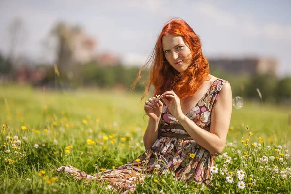 Zomer weide ontspannen — Stockfoto