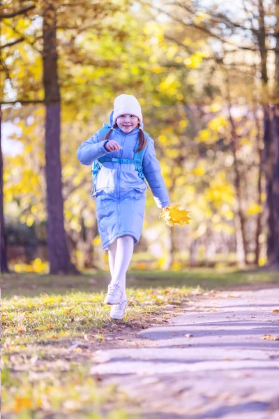 Дівчина тримає кленове листя — стокове фото