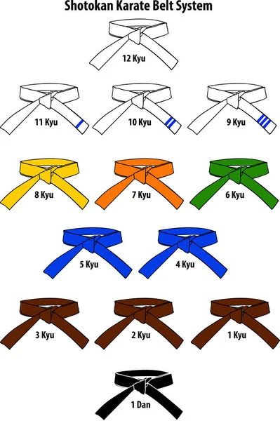 Cinturones de karate de colores — Archivo Imágenes Vectoriales