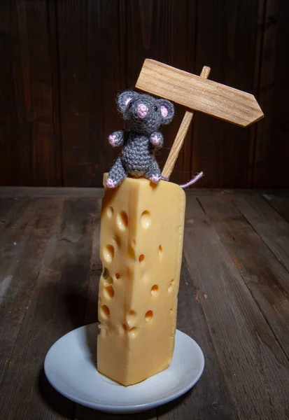 Ratón y queso —  Fotos de Stock