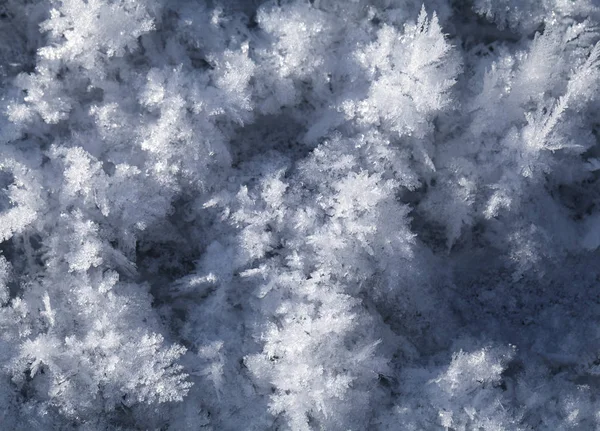 Снігові кристали на землі — стокове фото