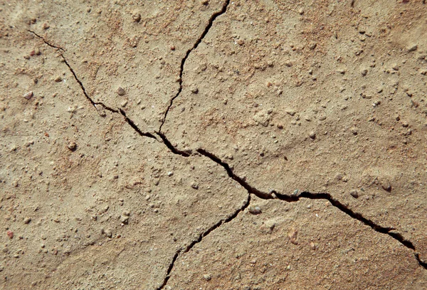 Cracked earth close-up — Stock Photo, Image