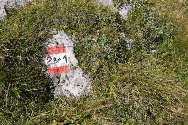Trail marker for hikers on a sunny day — Stock Photo, Image