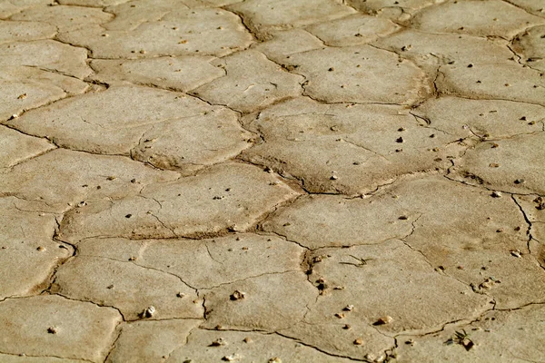 Cracked earth close-up — Stock Photo, Image