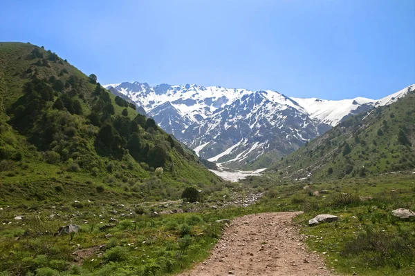 चिमगन पर्वत, उझबेकिस्तान — स्टॉक फोटो, इमेज